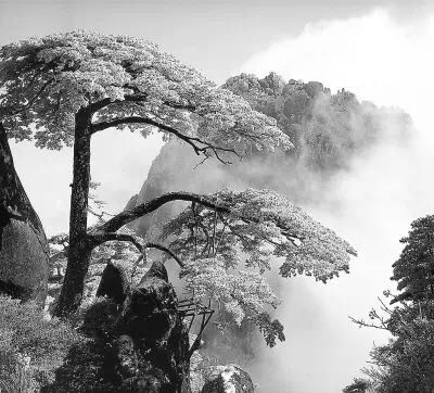 新年祈福：黄山（赏冬雪）、九华大佛（祈福）、温泉三日游 