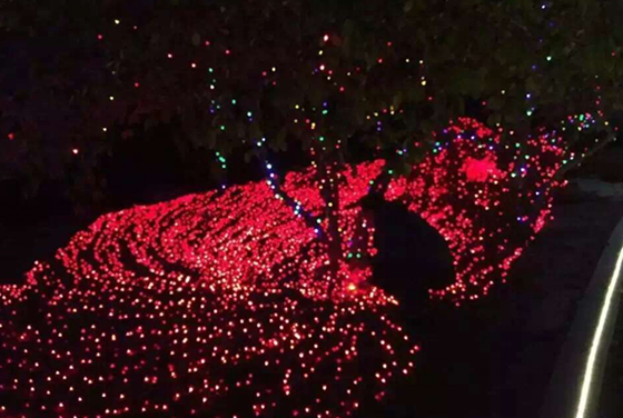 QQ图片20151208153358
